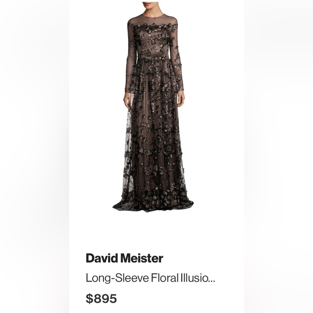 David Meister Illusion gown